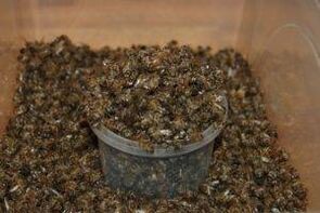 Bee dug to increase power